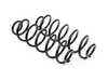 ES#5424904 - 8K0511115DHKT - Rear Coil Spring Set  - Paint marks: 1 grey / 3 pink - Assembled By ECS - Audi