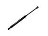 ES#2815931 - 51238150077 - Hood Gas Strut - Priced Each - Keep your hood open safely. - Hamburg Tech - BMW