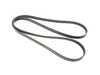 ES#4399097 - 99710215194 - Rubber Accessory Drive Belt - Accessory drive belt for cars with air conditioning. 6K X 2250 - Genuine Porsche - Porsche