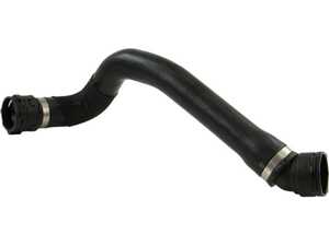 ES#5341129 - 17128602603 - Radiator Coolant Return Hose - Lower coolant hose that returns coolant to the engine - Rein - BMW