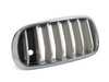 ES#2774977 - 51117303109 - Front Grill - Left - Nivi/Experience - Genuine BMW - BMW