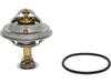 ES#4151179 - 1162000315 - THERMOSTAT INSERT 80C - Rein - Mercedes Benz