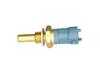 ES#4151205 - 15393755 - TEMPERATURE SENSOR - Rein - 