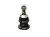 ES#4151210 - 1643300935 - BALL JOINT - Rein - Mercedes Benz