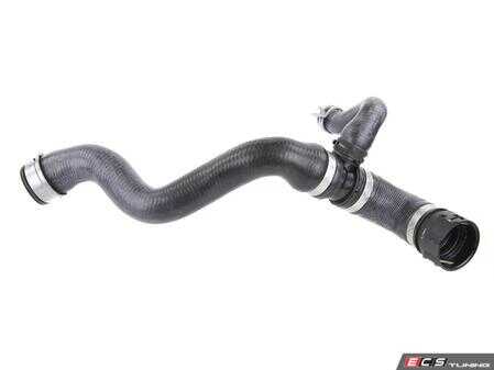 ES#4151225 - 1665000175 - Radiator Hose - Lower Right - Rein - Mercedes Benz