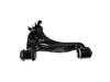 ES#2802314 - 1703300207 - Front Lower Control Arm - Right Side - Rein - Mercedes Benz