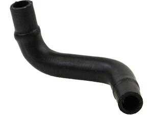 ES#5341320 - 6512031382 - Engine Coolant Hose - Cooler To Pipe - Rein - Mercedes Benz