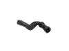 ES#2627492 - 8D0121055AA - Radiator Hose - Lower - Thermostat housing to lower radiator - Rein - Volkswagen