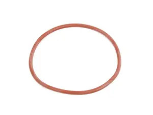 Fuel Pump O-Ring