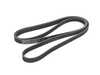 ES#5435041 - 059903137AN - Accessory Belt - To keep your engine accessories running quietly, smoothly, and reliably. - Continental - Audi