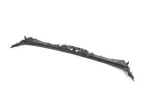 Windshield Cowl/Rain Tray