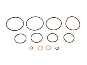 ES#4493083 - RGDVNSSK - Race German Dual Vanos Rebuild Seal Kit - Eliminate VANOS issues or stop them before they happen! - Race German - BMW