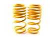 ES#4057099 - 13282002 - ST X Performance Coilover System - Fixed Damping - Set your vehicle low and tight for optimal performance. - Suspension Techniques - Volkswagen