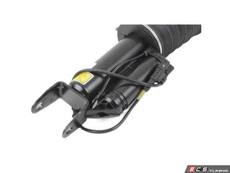 ES#2713526 - 2193201213KT1 - Remanufactured Hydro-Pneumatic Shock Assembly - Right Side - Price includes a $220.00 refundable core charge - Arnott - Mercedes Benz