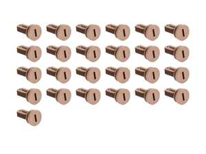 ES#2748172 - 51438399616KT - Locking Pin - Pack Of 25 - Used on the lower inside fender well - Genuine BMW - 