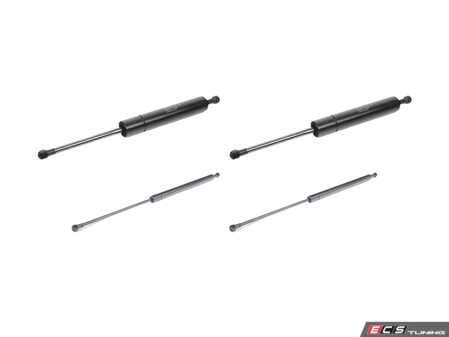 ES#2776487 - 2108800429KT2 - Hood And Hatch Strut Kit - Utilizes all Stabilus components - Stabilus - Mercedes Benz