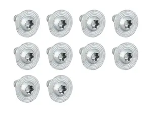 Screw - Pack Of 10 