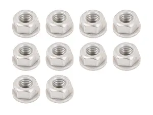 Nut - Pack Of 10
