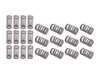 ES#3035955 - 005602022-062 - Schrick Valve Spring Set - E30 325i M20 engine - Schrick - 
