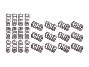 ES#3035955 - 005602022-062 - Schrick Valve Spring Set - E30 325i M20 engine - Schrick - 