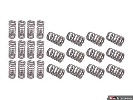 ES#3035955 - 005602022-062 - Schrick Valve Spring Set - E30 325i M20 engine - Schrick - 
