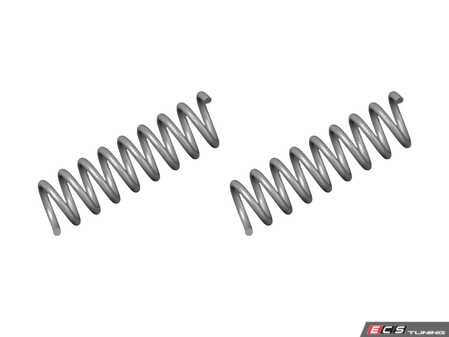 ES#5435585 - 2103211504KT - Front Coil Springs - Pair - Fits left or right side - Meyle - Mercedes Benz