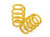 ES#4430613 - 18202208AG - ST XTA Plus 3-Way Adjustable Damping Coilover Kit Without EDC/DDC - Height adjustable coilover kit with 2-way adjustable compression damping, adjustable rebound damping, and top mounts for maximum performance and handling! - Suspension Techniques - MINI