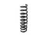 ES#2798391 - 33536855542 - REAR COIL SPRING - Replace worn out springs to restore ride quality - Genuine BMW - BMW