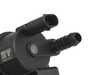 ES#4781818 - 06H906517AE - Canister Purge Valve  - Controls when excess gasoline vapors are pulled into the intake for burning - Hamburg Tech - Volkswagen