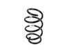 ES#4368815 - 31336872336 - FRONT COIL SPRING - Genuine BMW - 