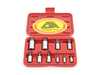 ES#4336951 - CTA3038 - 10 Piece Triple Square Socket - Set  - 2-piece design for high torque applications - CTA Tools - Audi BMW Volkswagen Mercedes Benz MINI Porsche