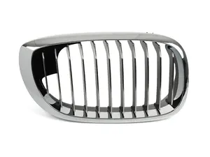 Kidney Grille - Right