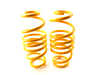 ES#3676893 - 13210078 -  ST X Performance Coilover System - Fixed Damping - Set your vehicle low and tight for optimal performance. - Suspension Techniques - Audi