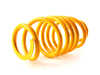 ES#3676893 - 13210078 -  ST X Performance Coilover System - Fixed Damping - Set your vehicle low and tight for optimal performance. - Suspension Techniques - Audi