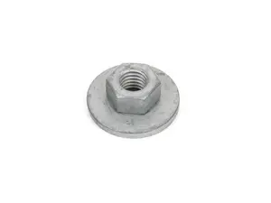 HEX NUT WITH PLATE