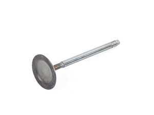 ES#2970632 - 11348605662 - INTAKE VALVE - Genuine BMW - BMW