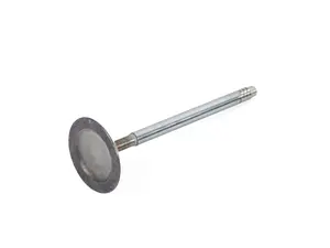 INTAKE VALVE