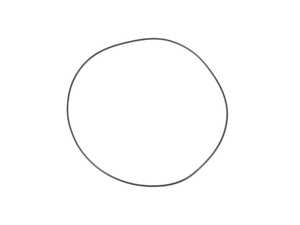 ES#45394 - 24311421583 - O-RING - Genuine BMW - BMW
