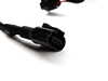 ES#269848 - 022972619AB - Engine Wiring Harness - (NO LONGER AVAILABLE) - Connects the ECU to various engine components - Genuine Volkswagen Audi - Audi Volkswagen