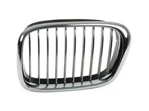 Kidney Grille - Left