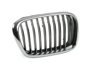 Kidney Grille - Right