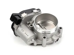 Throttle Body Assembly