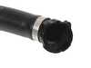 ES#4181445 - 17129797611 - Hose - Radiator-Engine - Genuine BMW - BMW