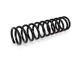 Coil Spring - Rear