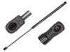 ES#5481019 - 3409100023 - Gas Spring - Rear Hatch - Restore the effortless, factory-fresh operation of your rear hatch with this premium replacement gas spring from MEYLE. - Meyle - BMW