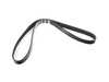 ES#4145069 - 06L903137A - Accessory Belt - Replaces your cracked or worn belt - Dayco - Audi Volkswagen