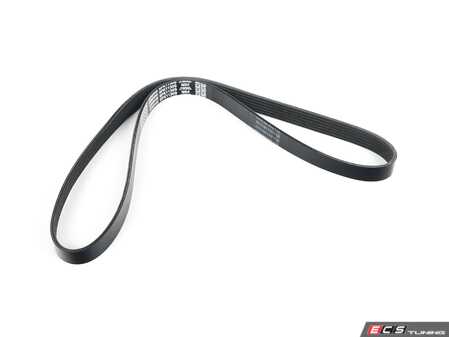 ES#4145069 - 06L903137A - Accessory Belt - Replaces your cracked or worn belt - Dayco - Audi Volkswagen