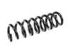 ES#2798391 - 33536855542 - REAR COIL SPRING - Replace worn out springs to restore ride quality - Genuine BMW - BMW