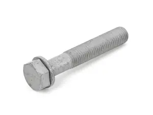 Hex Bolt with Washer