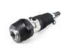 ES#5423322 - 37105B69E23 - AIR SPRING STRUT, FRONT LEFT - Genuine BMW - 